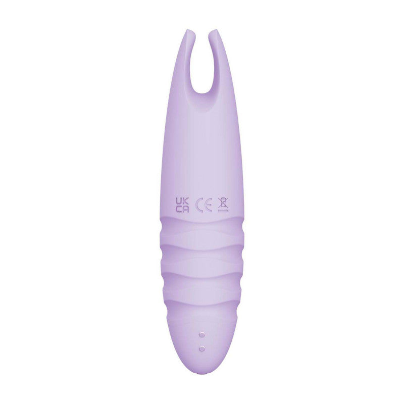 Sorbet Purple Passion