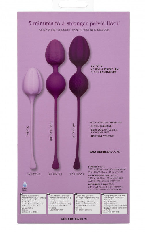 Kegel Training 3-Piece Set - Purple