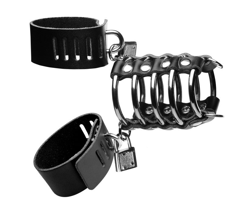 5 Ring Chastity Device With  &amp; Ball Strap