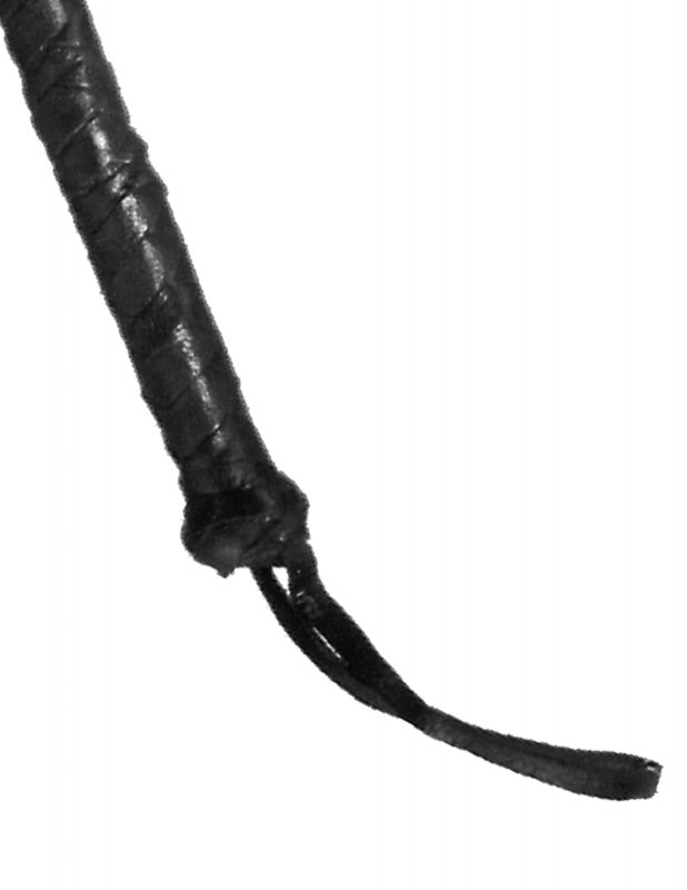 Fetish Fantasy 6" Whip