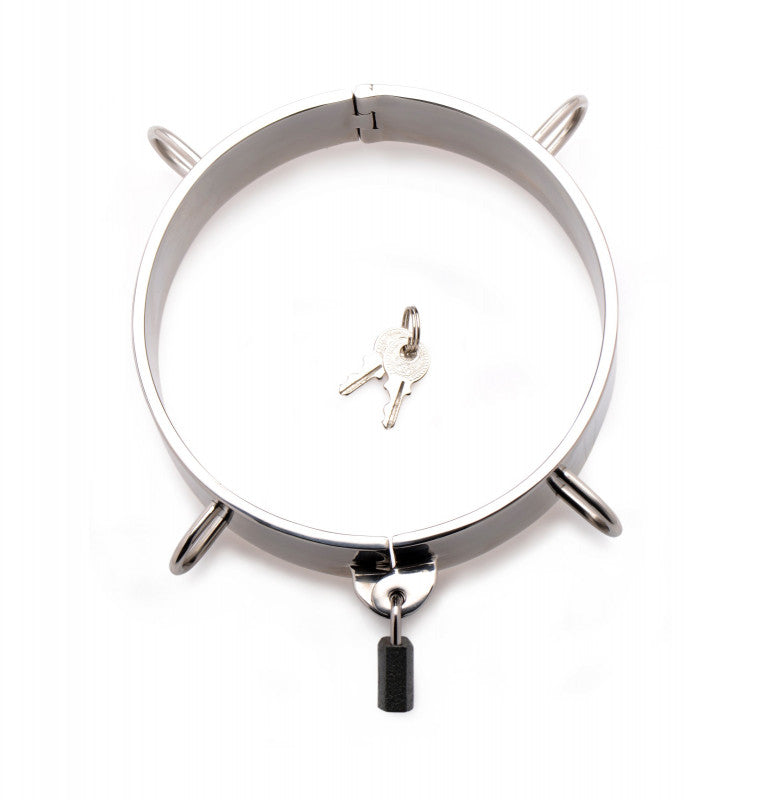 Stainless Steel Collar - 5 Inch