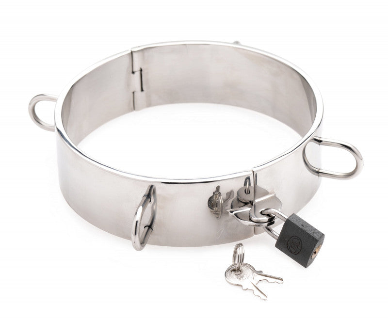 Stainless Steel Collar - 5 Inch
