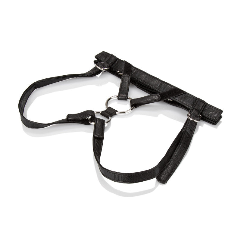 Her Royal Harness  -  the Dutchess