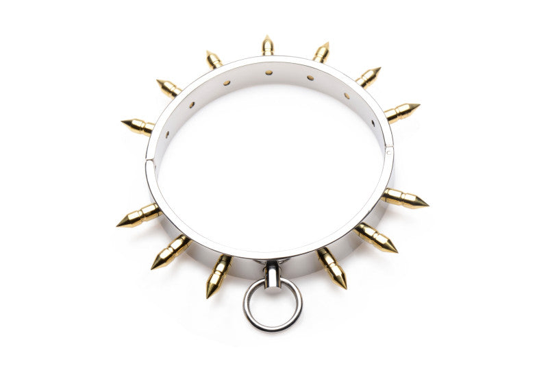 Stainless Steel Spiked Collar