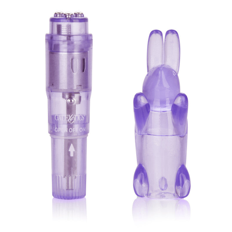 Shane's World Pocket Party - Purple