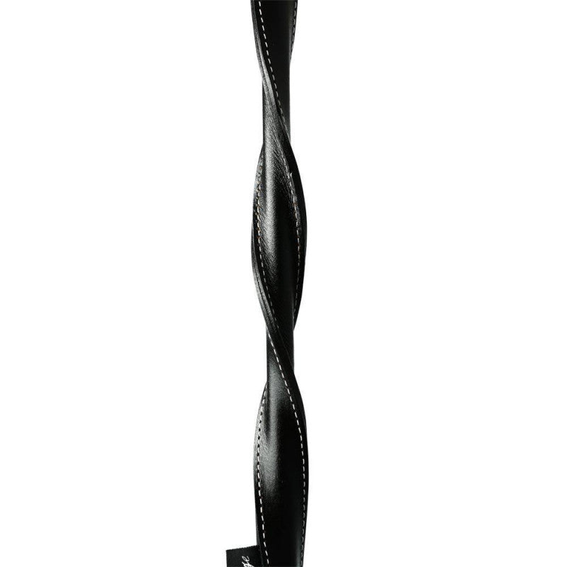 Twisted Whip