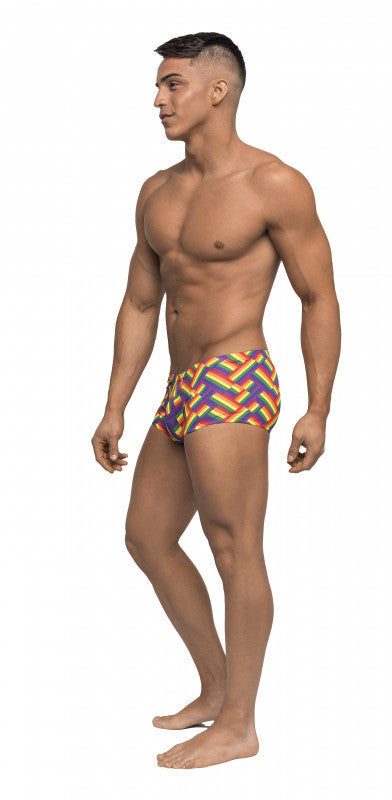 Pride Fest - Mini Short - Small - Print