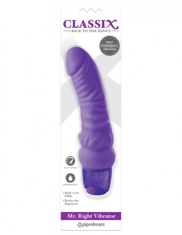 Mr. Right Vibrator - Purple