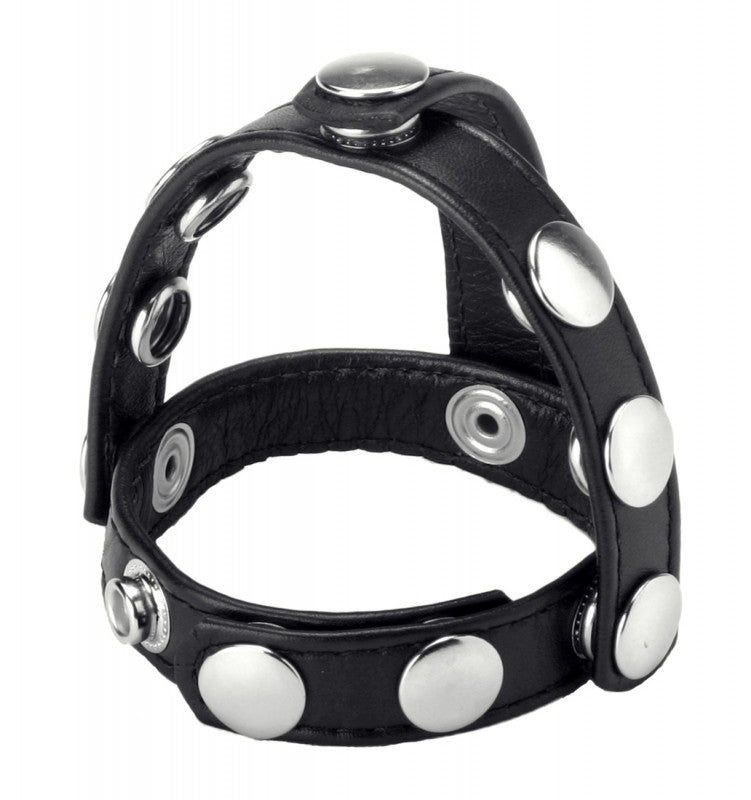 Snap- on  &amp; Ball Harness