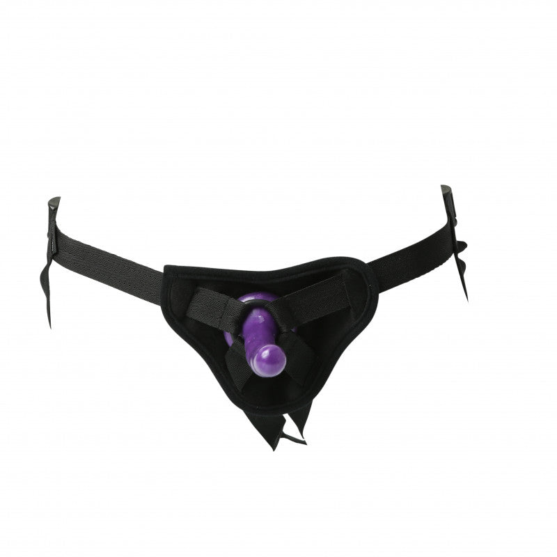 Sex and Mischief Strap-on and Silicone Dildo Kit