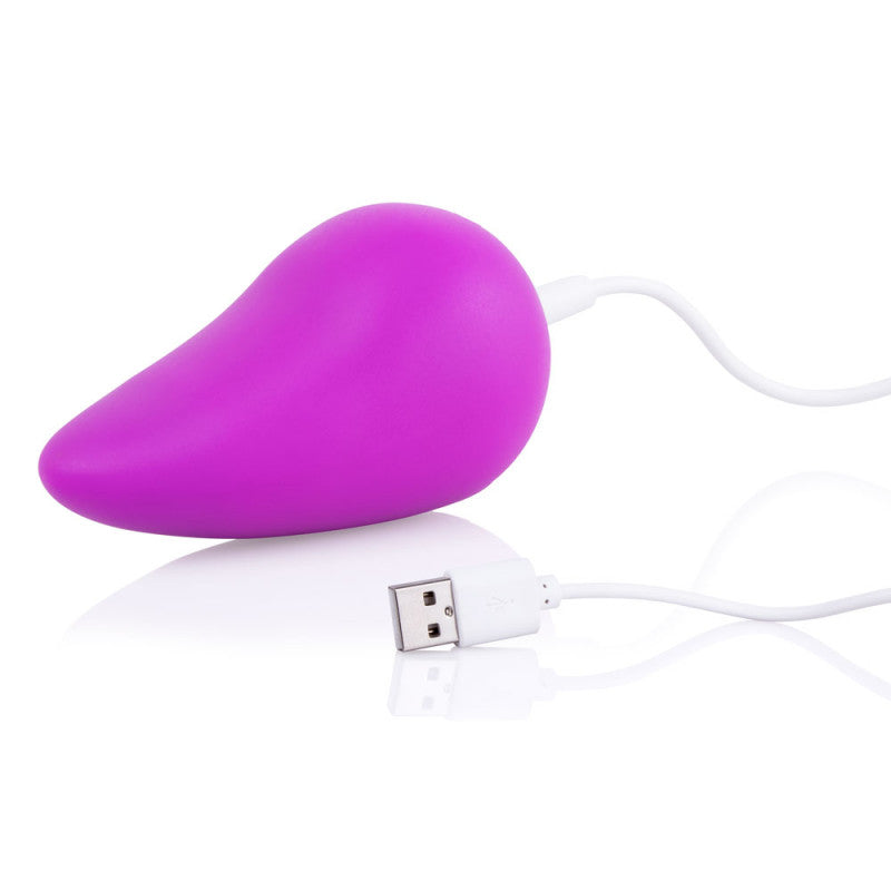Scoop Vibe - Purple - Each