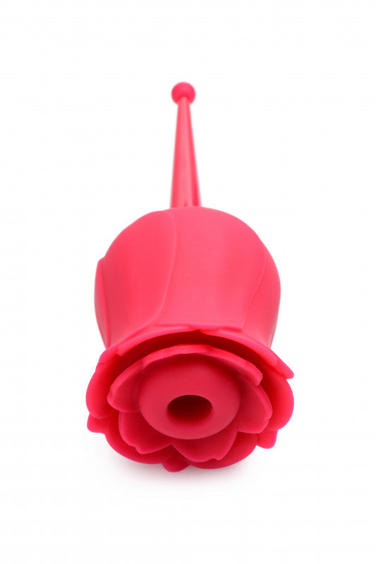 Bloomgasm - the Rose Buzz