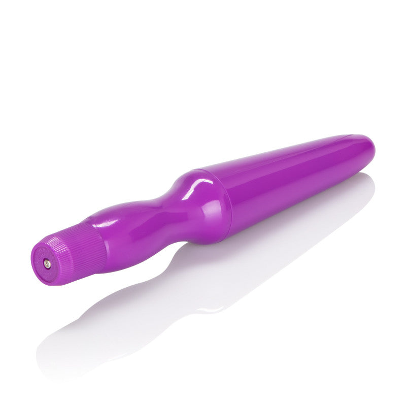 Fujikos Waterproof Anal Probe Purple