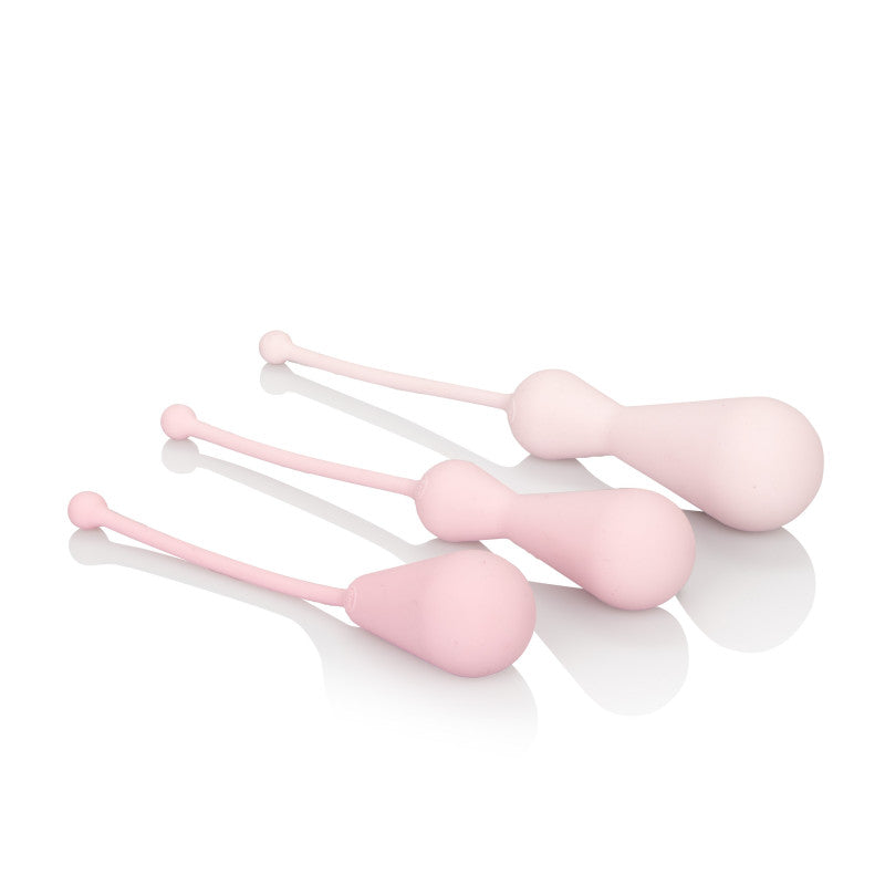 Inspire Weighted Silicone Kegel Training Kit
