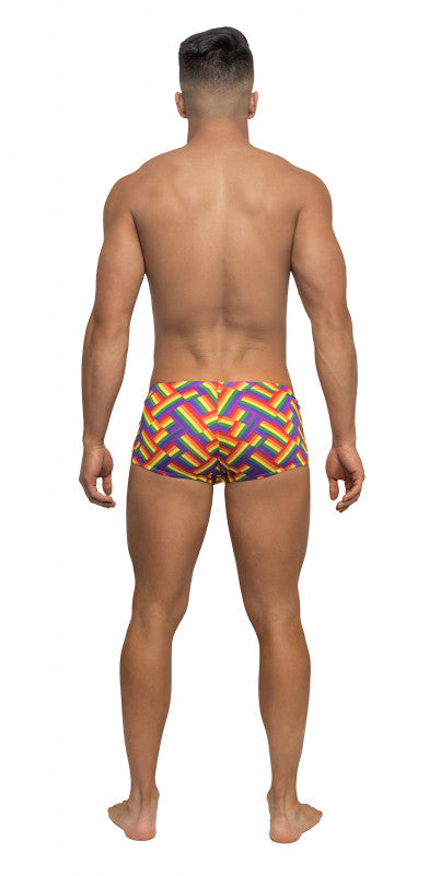 Pride Fest - Mini Short - Small - Print