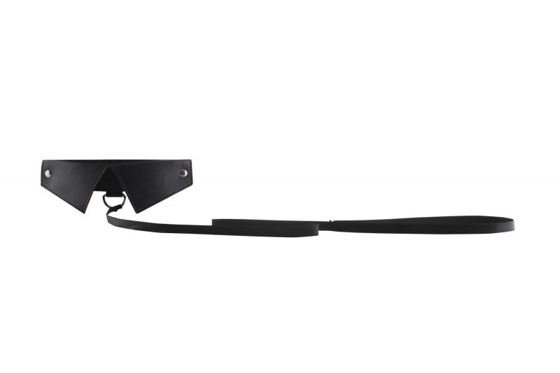 Classic Collar W / Leash - Black