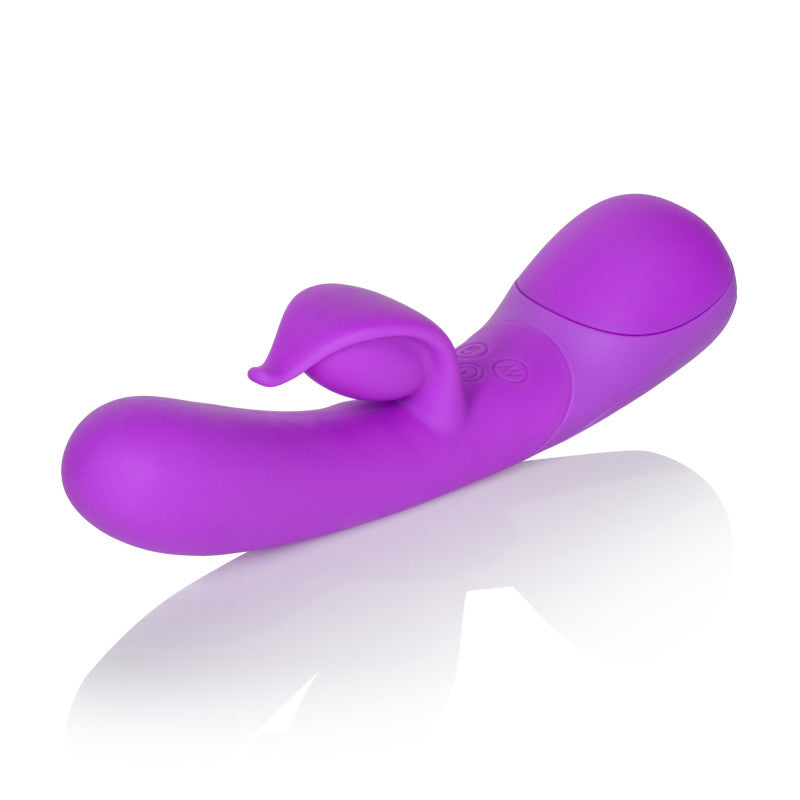 Impress Dove - Purple