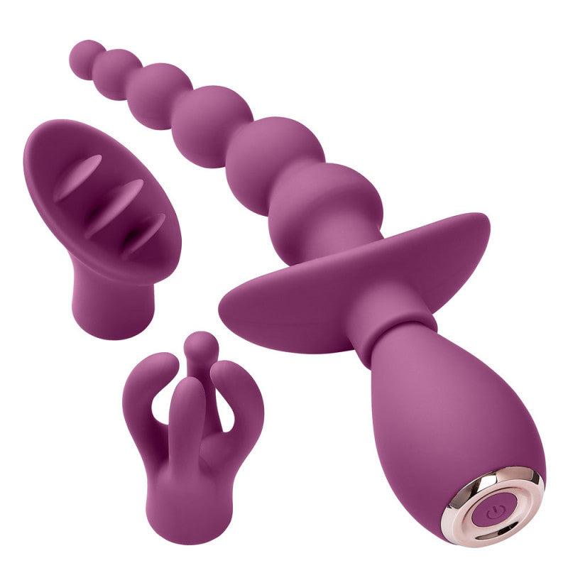Cloud 9 Health and Wellness Anal Clitoral and Nipple Massager Kit - Purple
