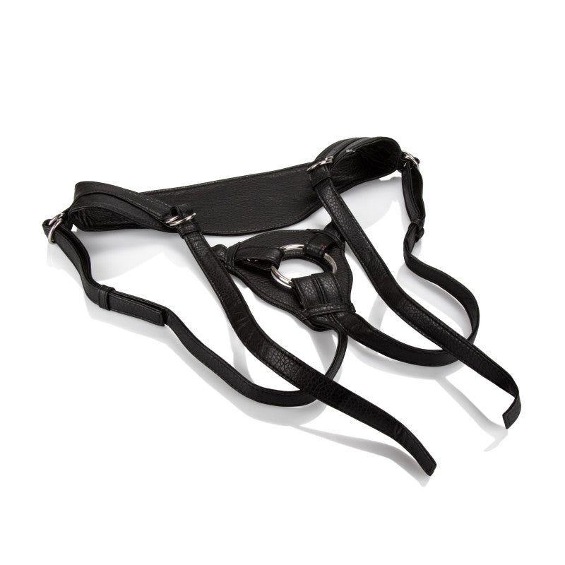 Her Royal Harness the Queen - Boxed
