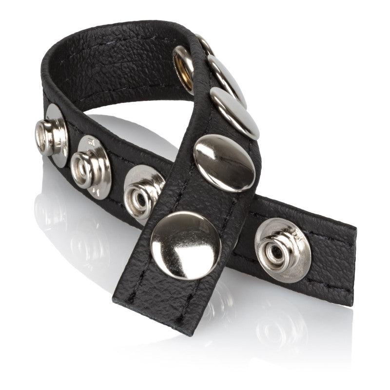 Adonis Leather Ares Collection