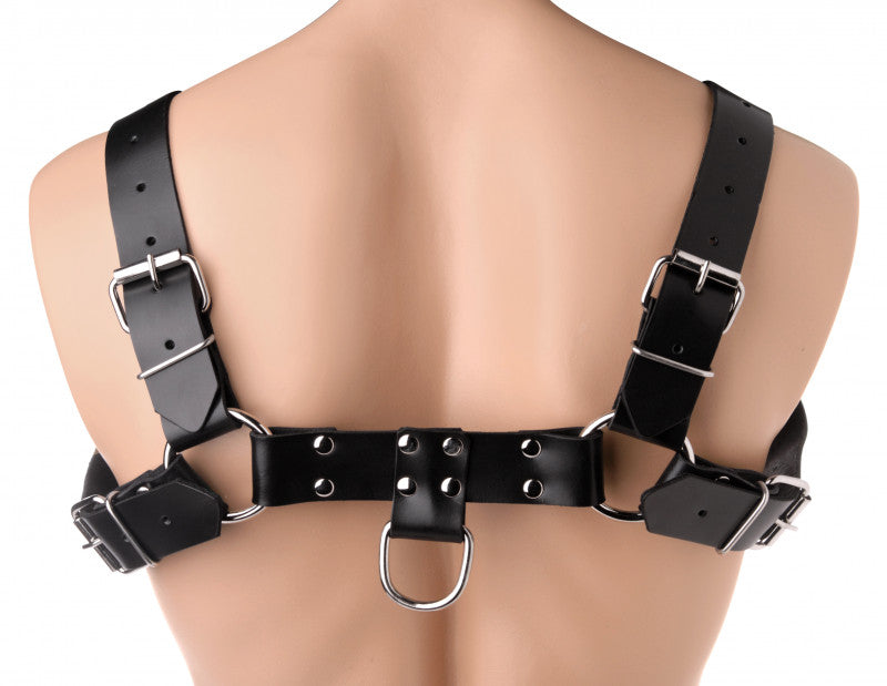 English Bull Dog Harness