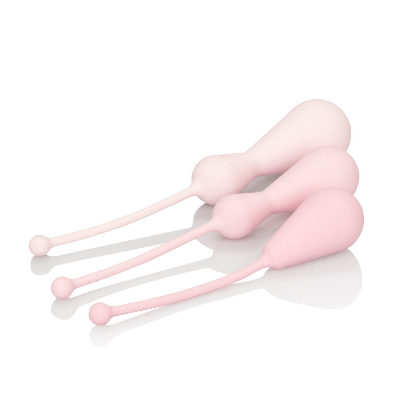 Inspire Weighted Silicone Kegel Training Kit