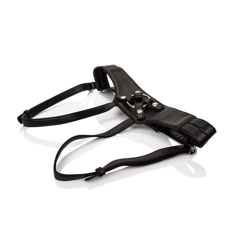 Her Royal Harness the Empress - Hanger