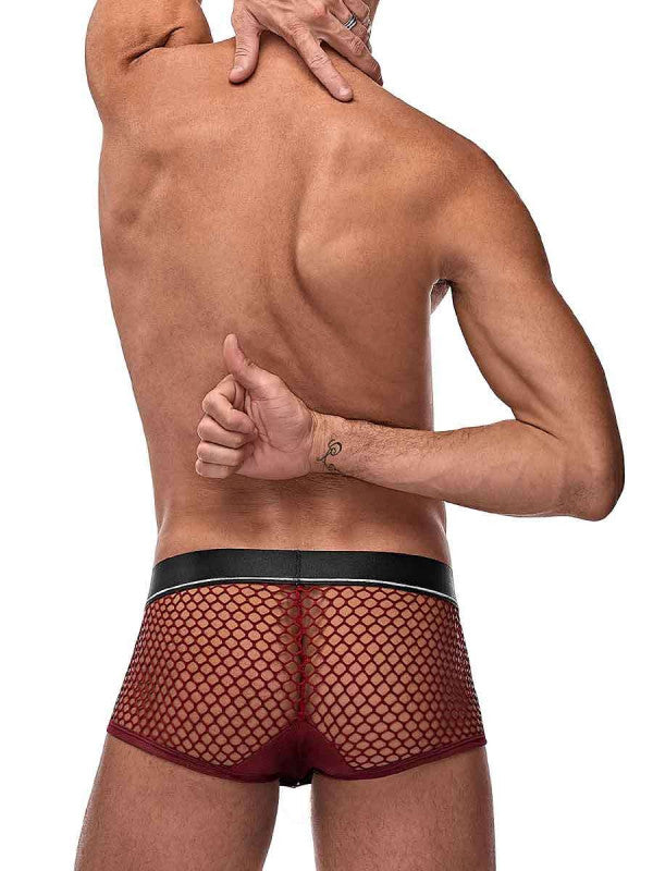 Pit Net Mini  Ring Short - Extra Large - Burgundy