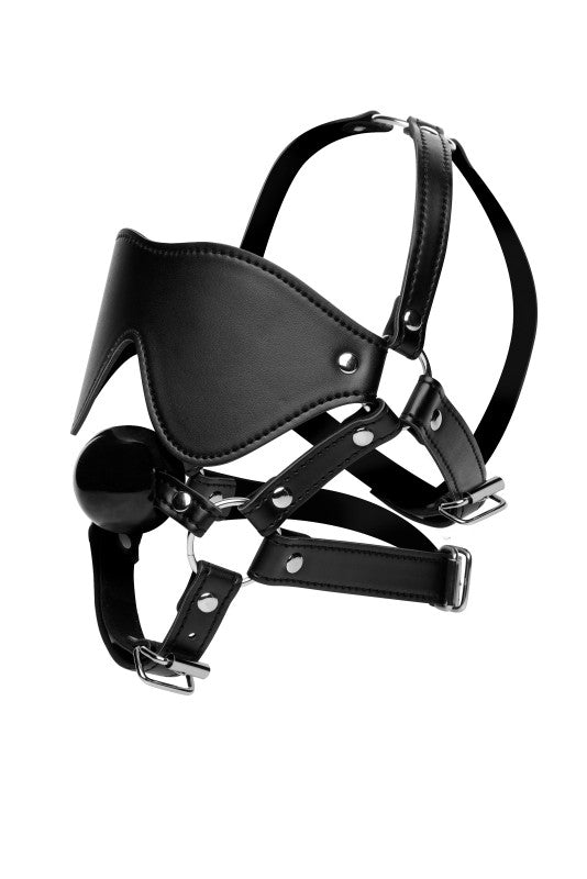 Blindfold Harness + Ball