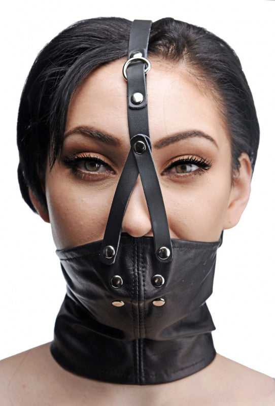 Face Harness With Stuffer Gag
