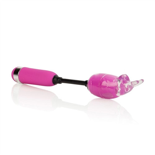 Shanes World Campus Buzz Massager Purple
