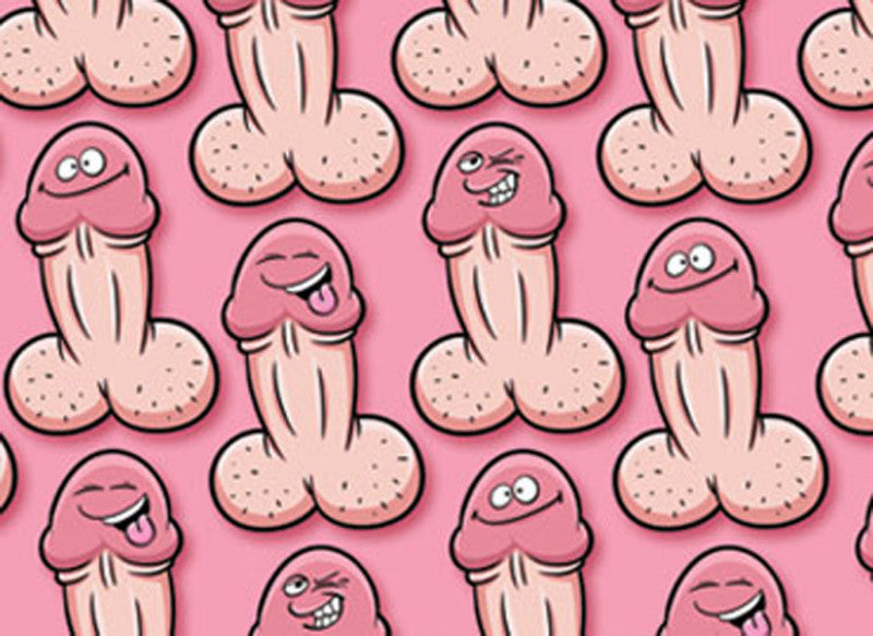 Gift Wrap Willy Pecker 2 Sheets