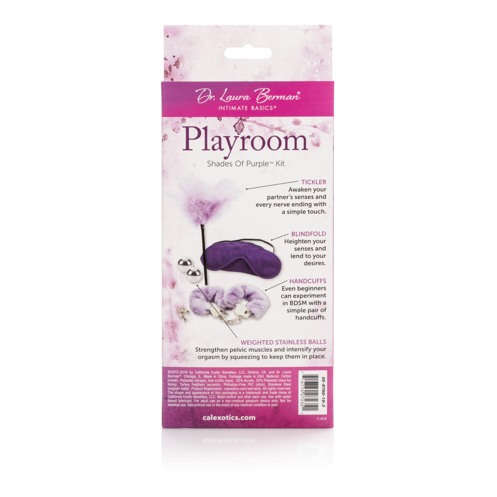 Berman Shades of Purple Playroom Kit